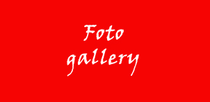 Foto Gallery